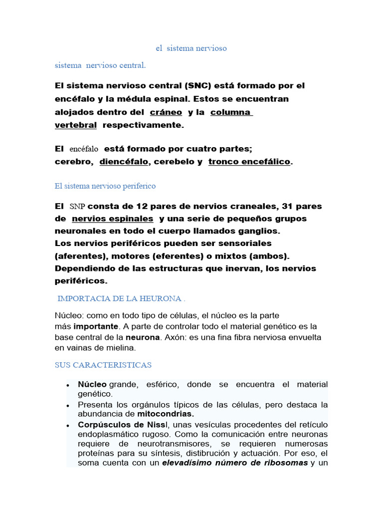 Estructura y Función del Sistema Nervioso | PDF | Neurona | Sinapsis