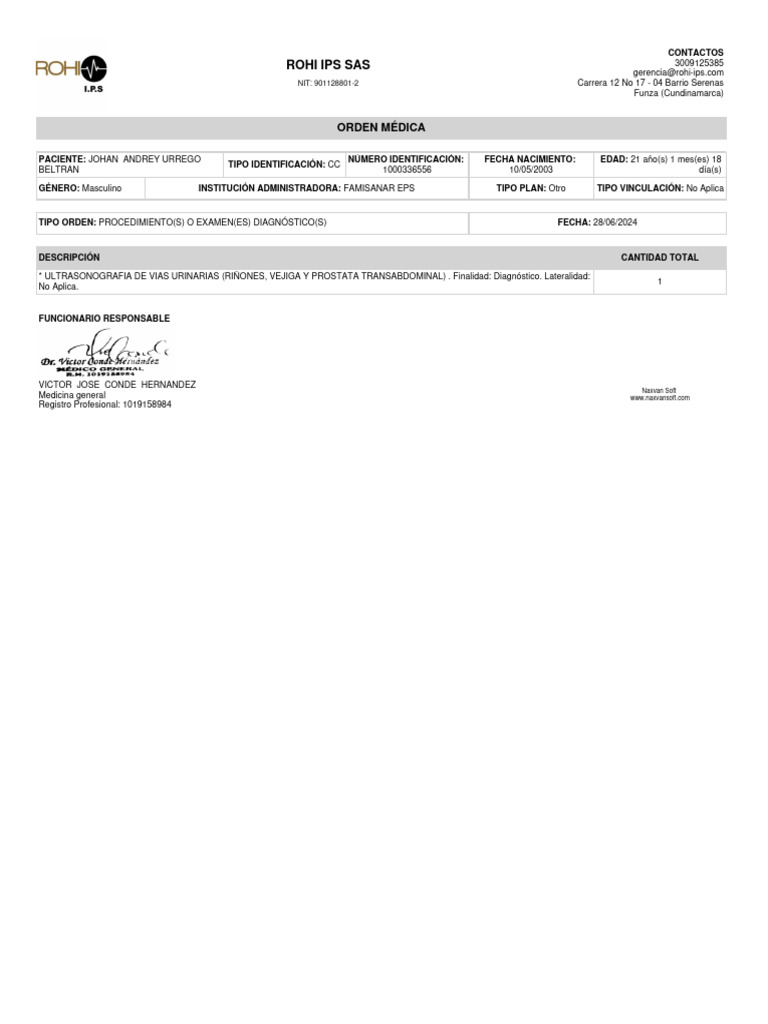ReportOrdenes2 240728 200923 | PDF | Anatomía humana | Órgano (anatomía)