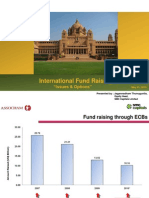 International Fund Raising: "Issues & Options"
