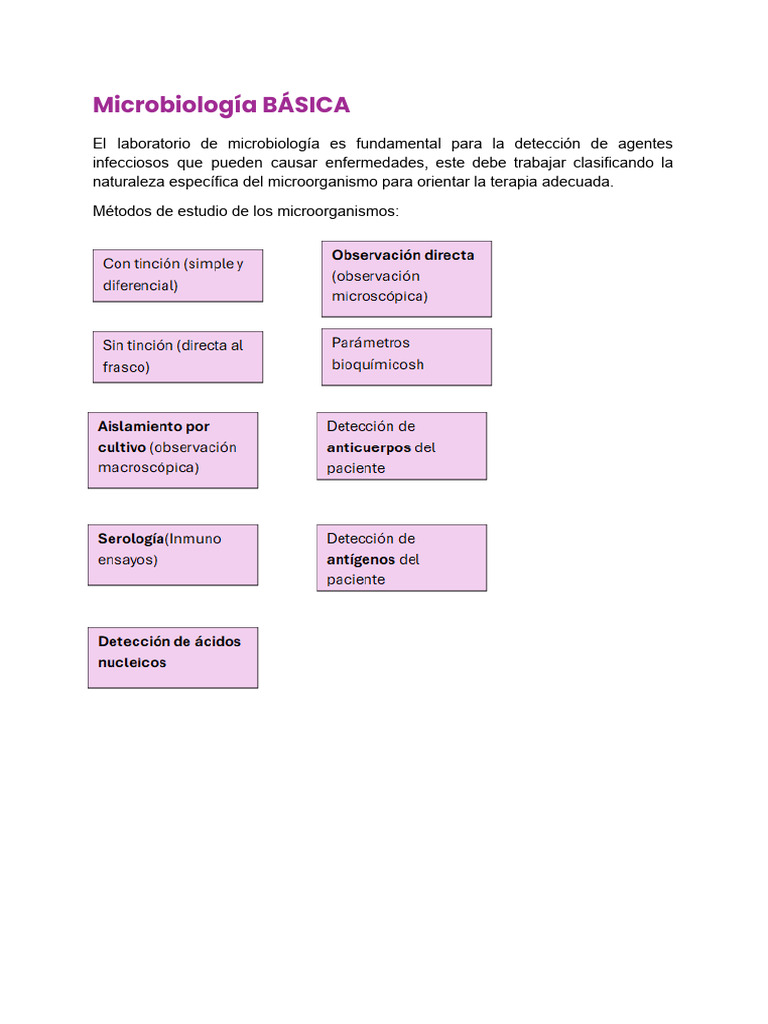 Resumen Micro | PDF | Adn | Rna