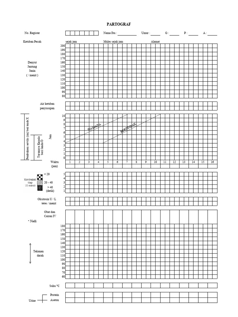 Panduan Pengisian Partograf Ibu Hamil | PDF