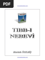 Tibb I Nebevi