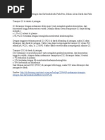 Download Mekanisme Transpor Oksigen Dan Karbondioksida Pada Paru by Winda Galuh Pertiwi SN75452532 doc pdf