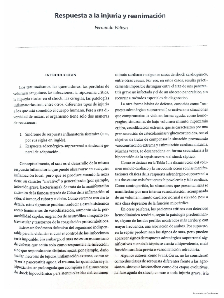 Injuria | PDF
