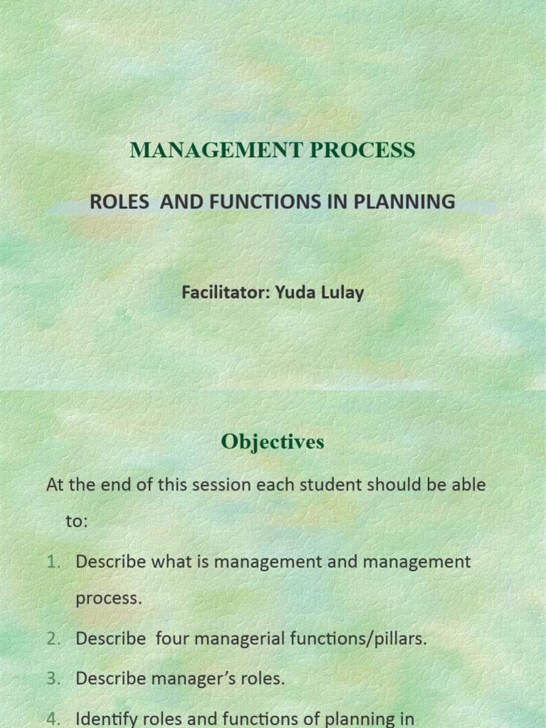 Management Process Roles And Function In Planning Pdf Risk Nursing