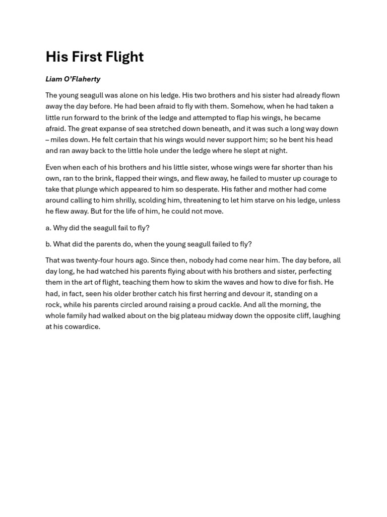 Young Seagull's First Flight | PDF | Poetry