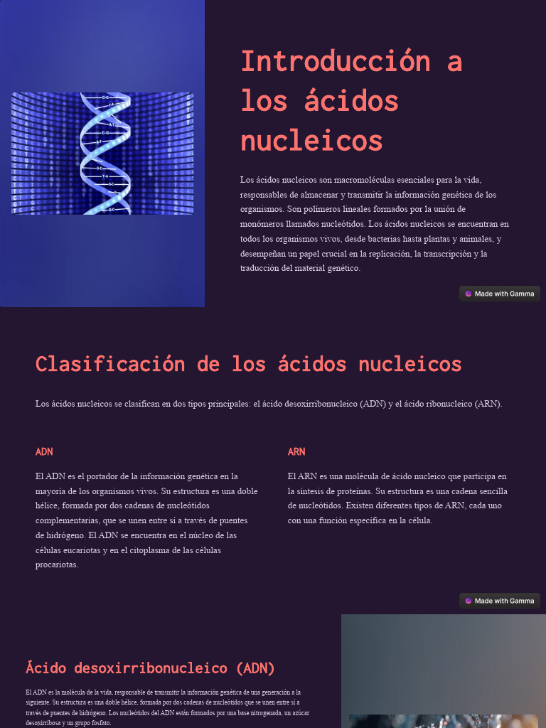 Estructura y funciones de ácidos nucleicos | PDF | Rna | Adn