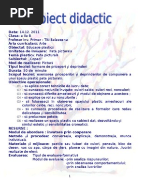 Proiect Didactic Desen Clasa A Iia Margulescu Adela