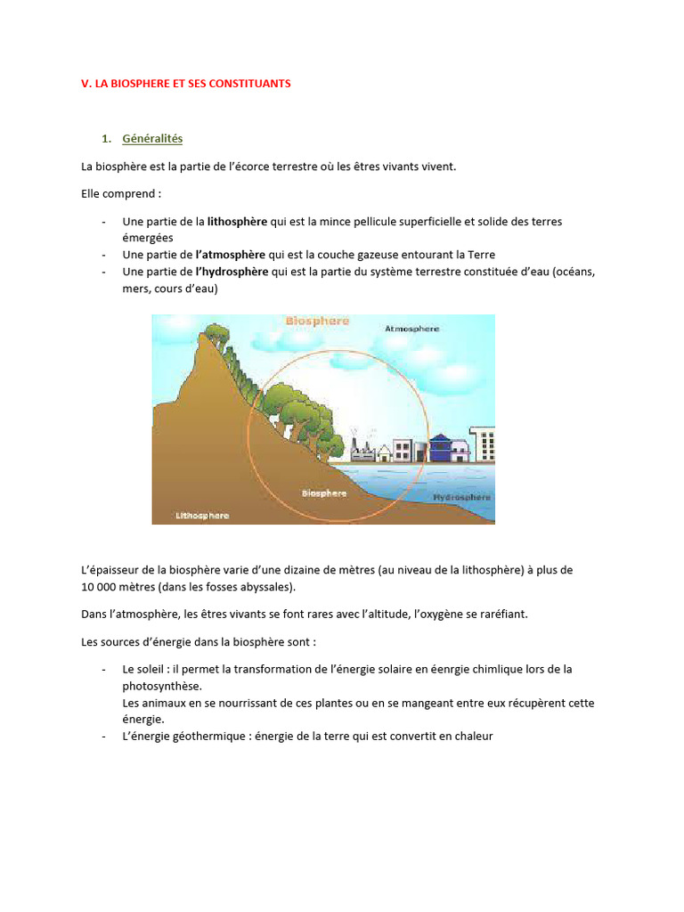 Organisation et composition de la biosphère | PDF