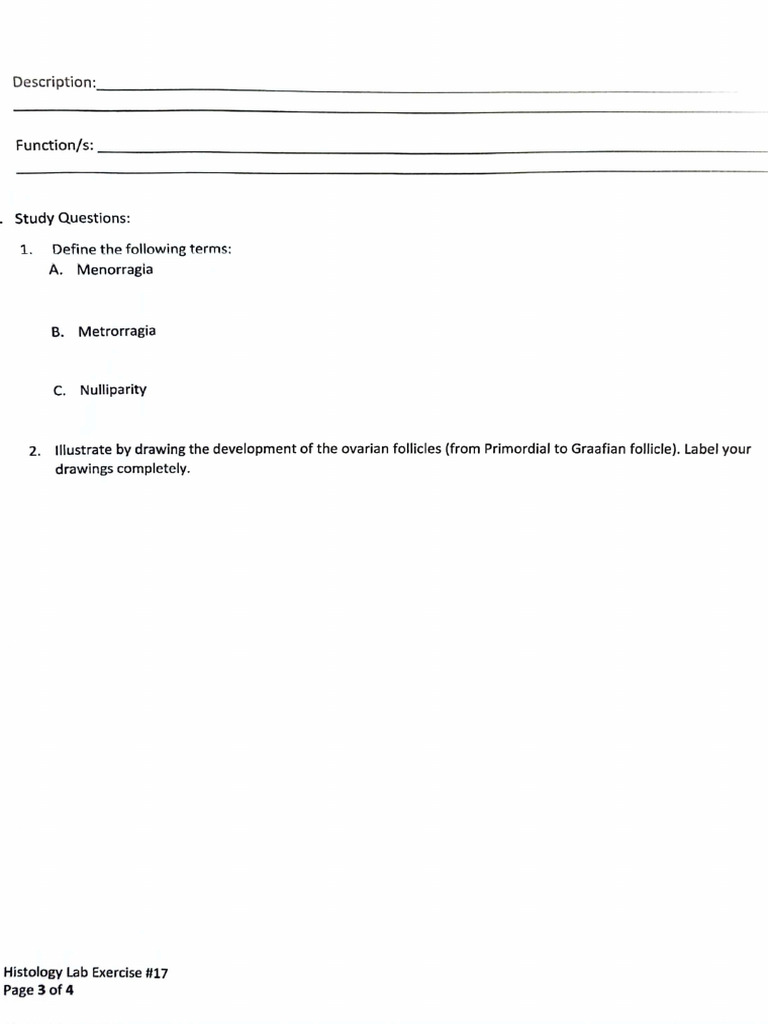 Male Repro | PDF
