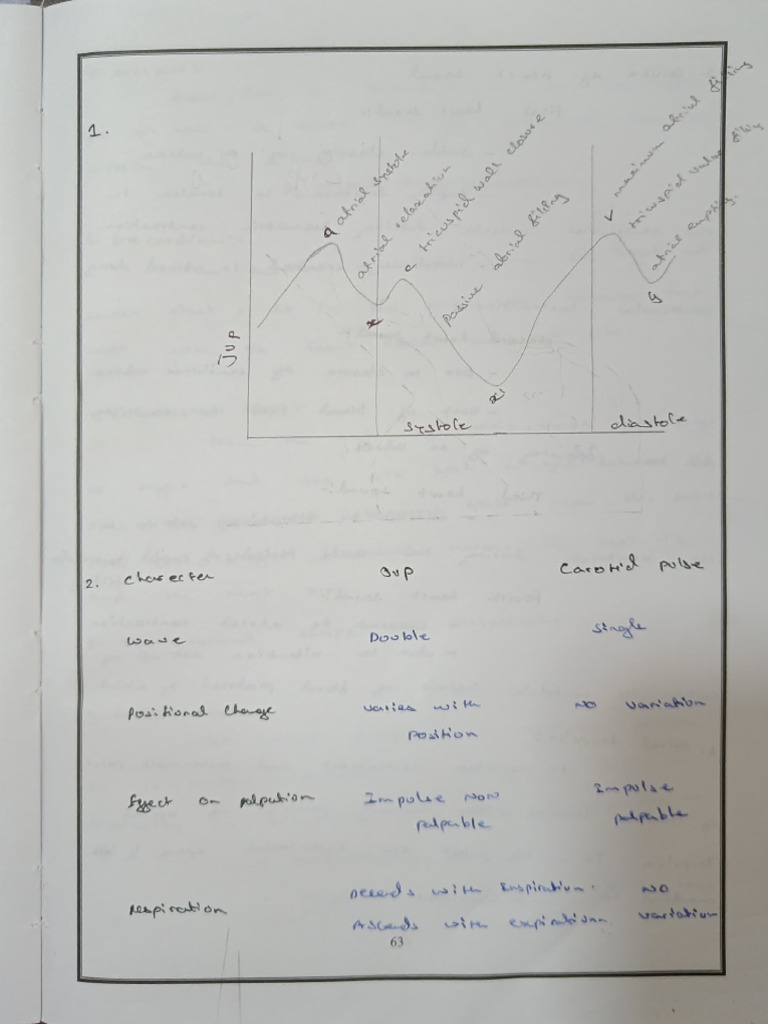 Examination of CVS | PDF
