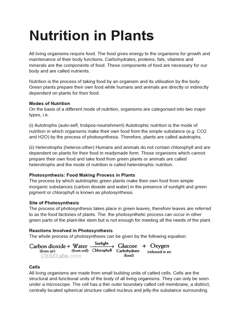 nutrition-in-plants-pdf-nutrition-diet-nutrition