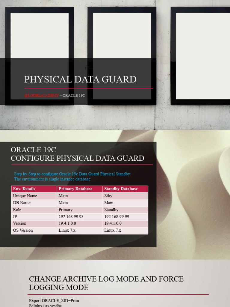 Step-by-Step Oracle 19c Data Guard Setup | PDF | Data Management ...