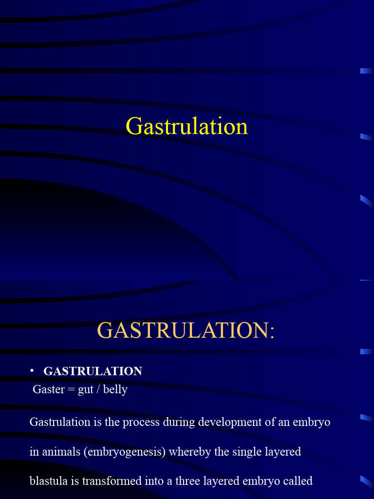 Understanding Gastrulation in Embryos | PDF | Embryo | Biology