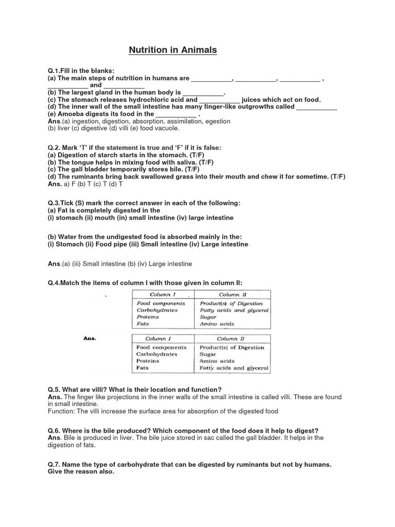 nutrition-in-animals-class-7-pdf-digestion-small-intestine