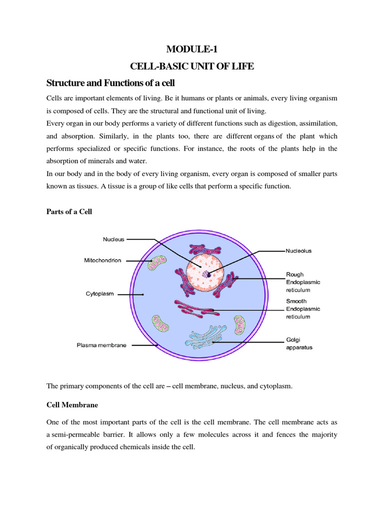 Structure and Function of A Cell-Module 1 | PDF | Cell Nucleus | Cell ...