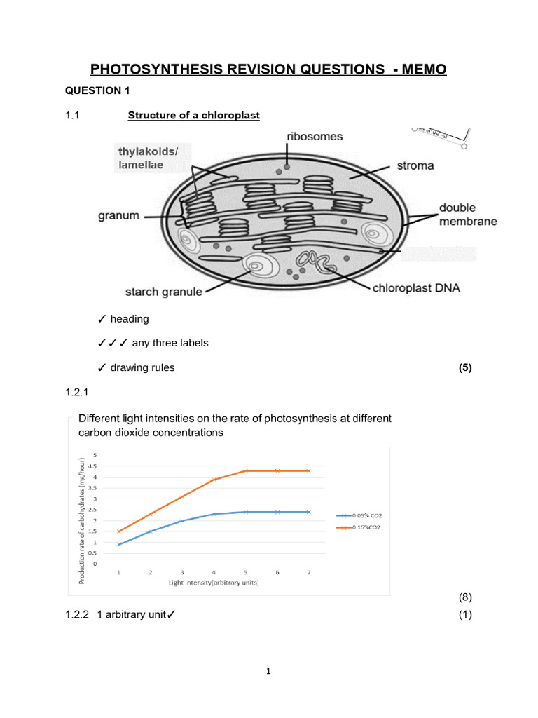 Photosynthesis Revision Questions 2024 - Memo | PDF | Photosynthesis ...