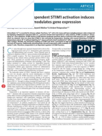 Temperature-Dependent STIM1 Activation