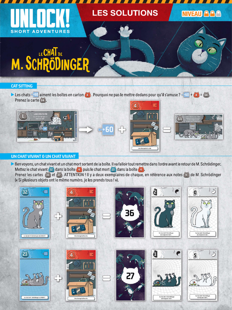 Solution Short Unlock Le Chat de MR SCHRODINGER Niv 2 | PDF