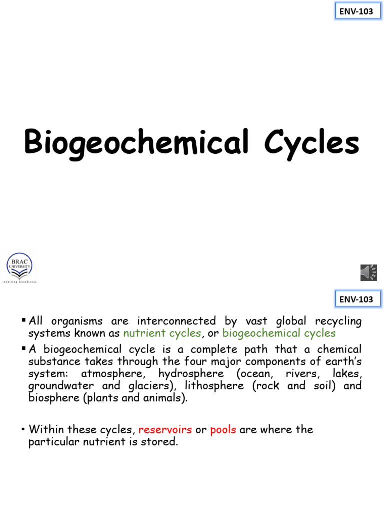 Understanding Biogeochemical Cycles | PDF | Nutrients | Carbon Cycle