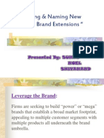 Brand - Introducing, Naming and Brand Extensions