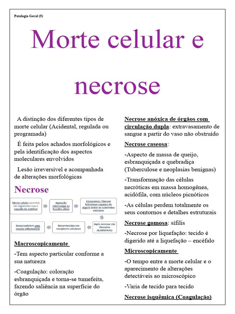 Tipos de Morte Celular e Necrose | PDF | Necrose | Apoptose
