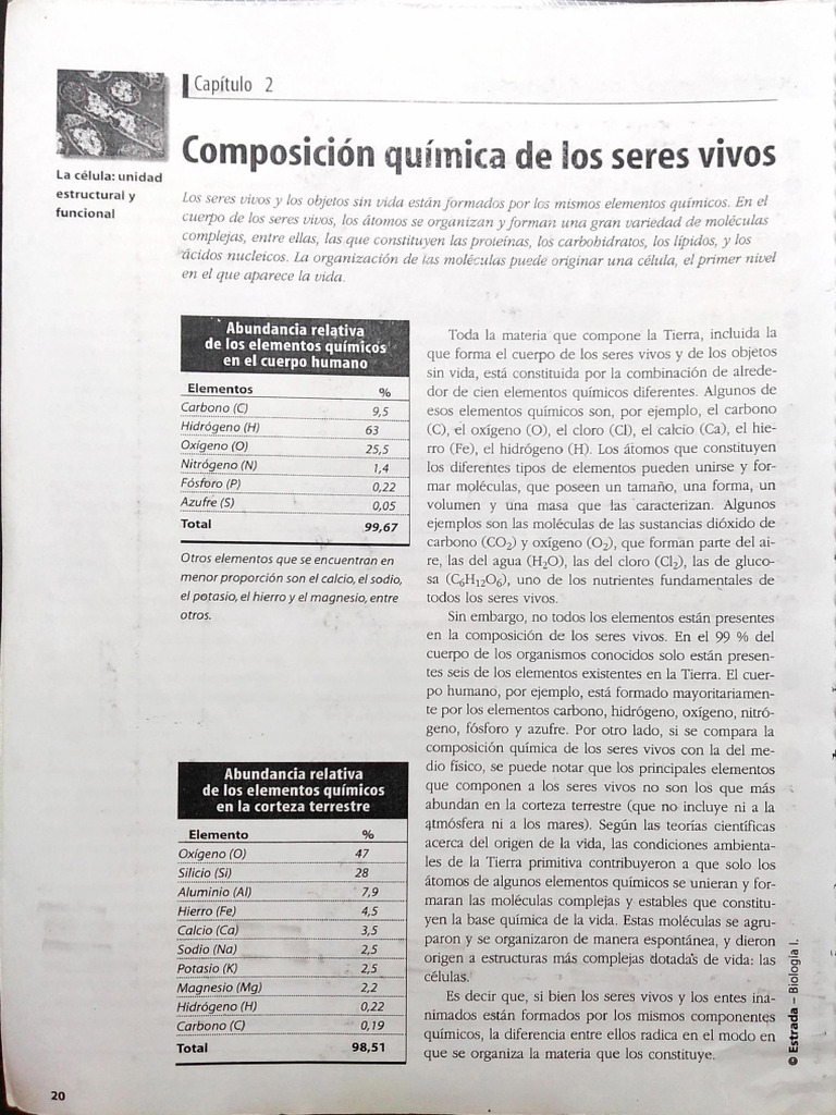Composición química de los seres vivos | PDF | Polisacárido | Carbohidratos