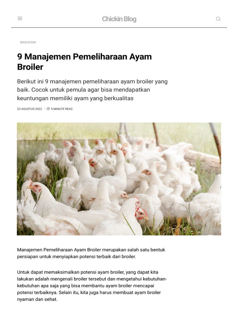 Manajemen Pemeliharaan Ayam Broiler | PDF