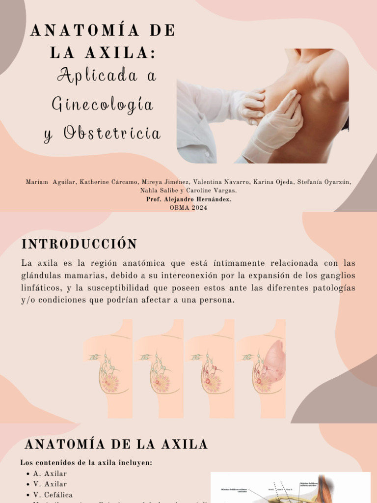 Anatomía de la Axila en Ginecología | PDF