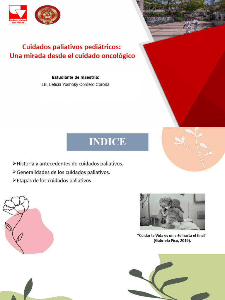 Cuidados Paliativos Pediátricos Pdf Cuidados Paliativos Dolor