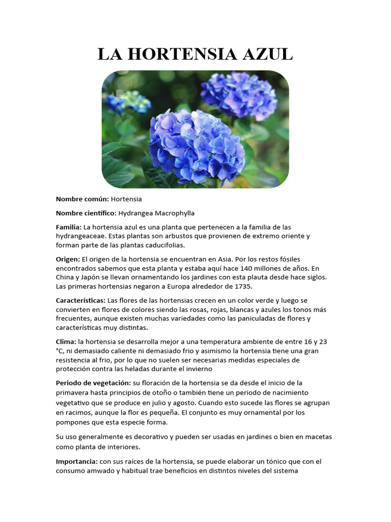 La Hortensia Azul | PDF | Botánica | Plantas