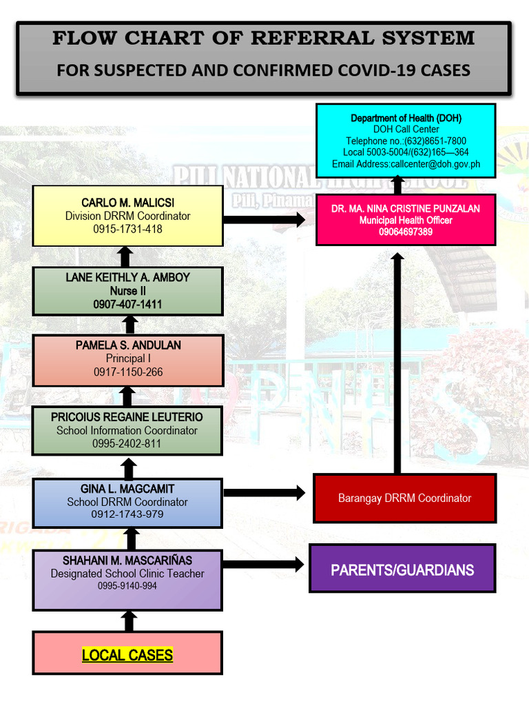Flow chart of referral system pdf