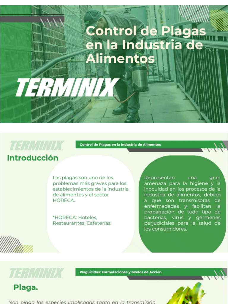 Control de Plagas en La Industria de Alimentos | PDF