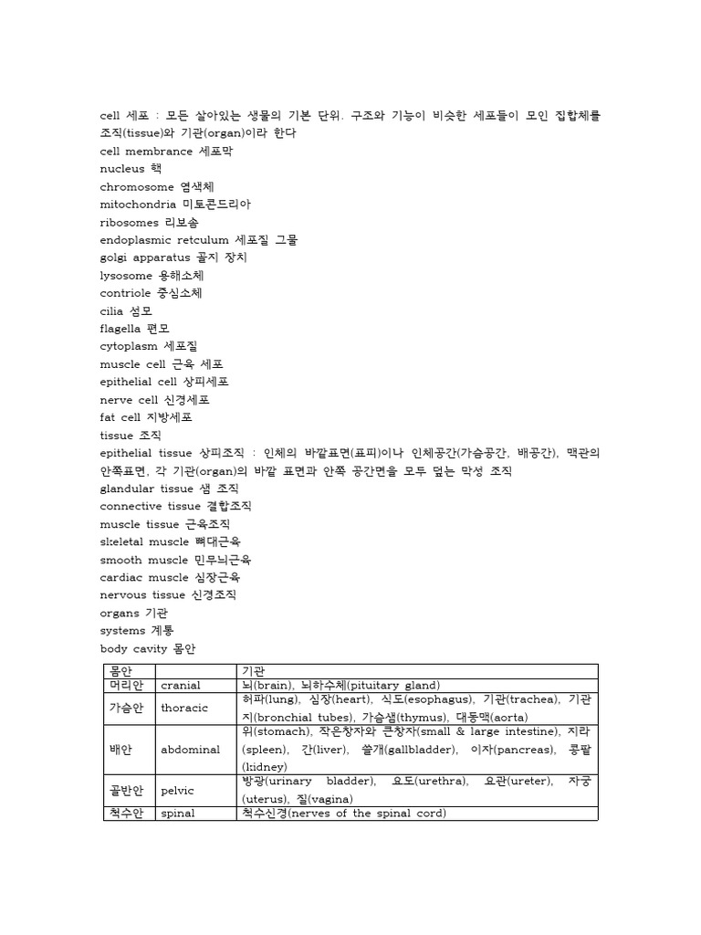 의학용어 정리3 Fin. | PDF