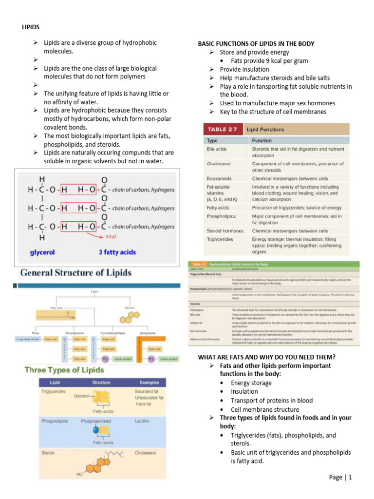 LIPIDS | PDF
