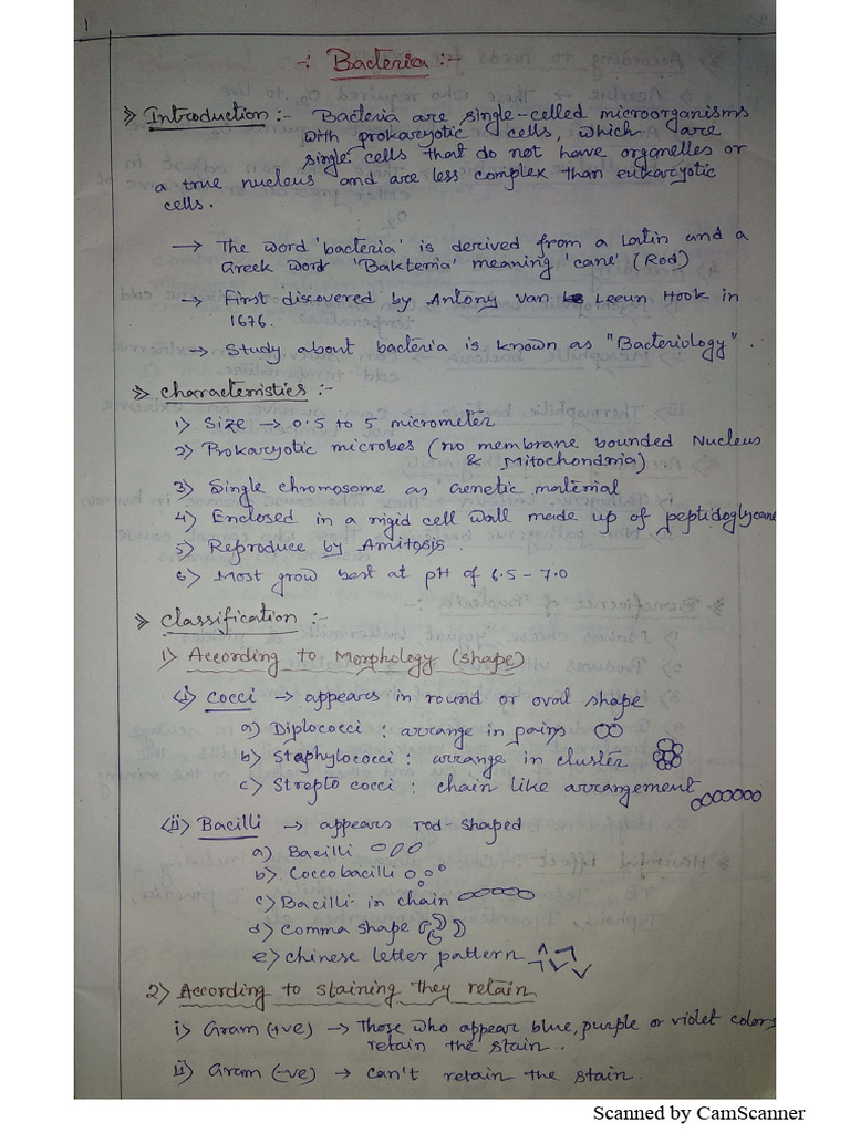 Basic Science II Notes | PDF
