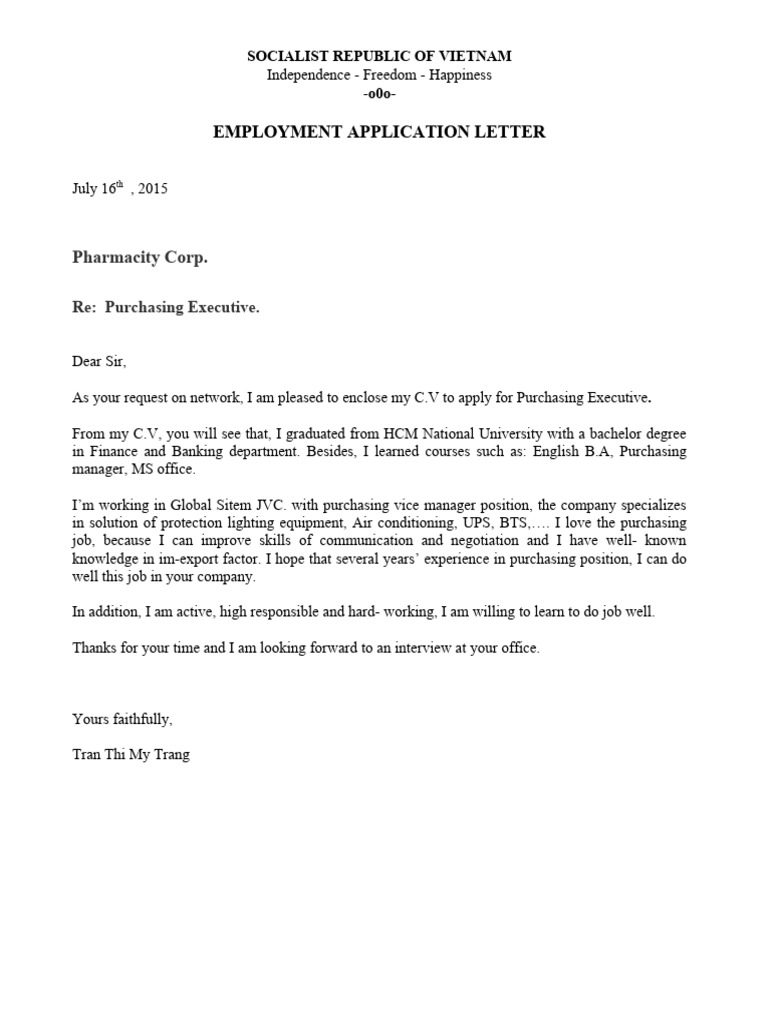 CV AND APPLICATION LETTER PDF visual data 3