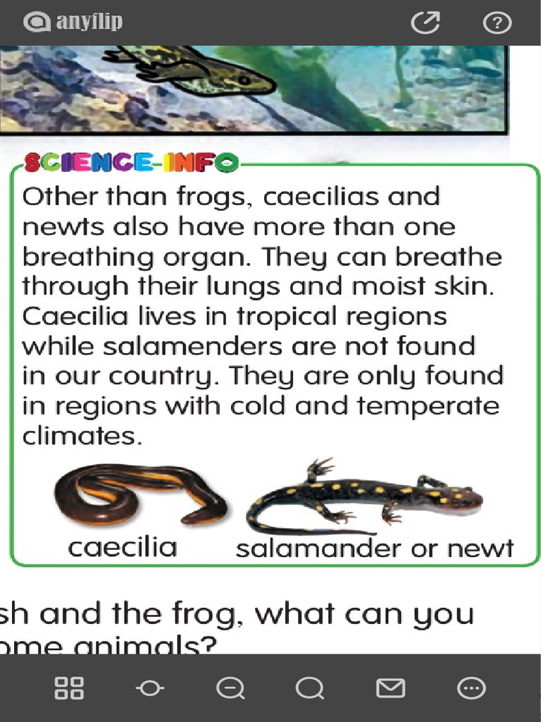 science year 4 textbook pdf