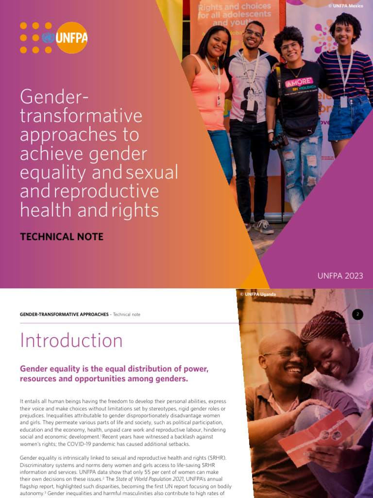 Gender-Transformative Approaches Explained | PDF | Gender Studies ...