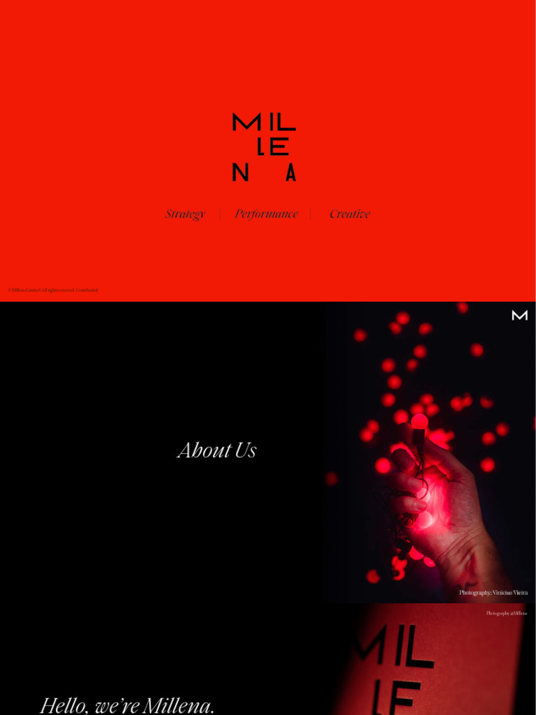 Millena Intro Nov 2023 | PDF | Marketing | Brand