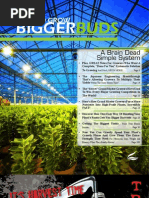 Download The Bigger Yields Flowering System Magalog by Advanced Nutrients SN75493780 doc pdf