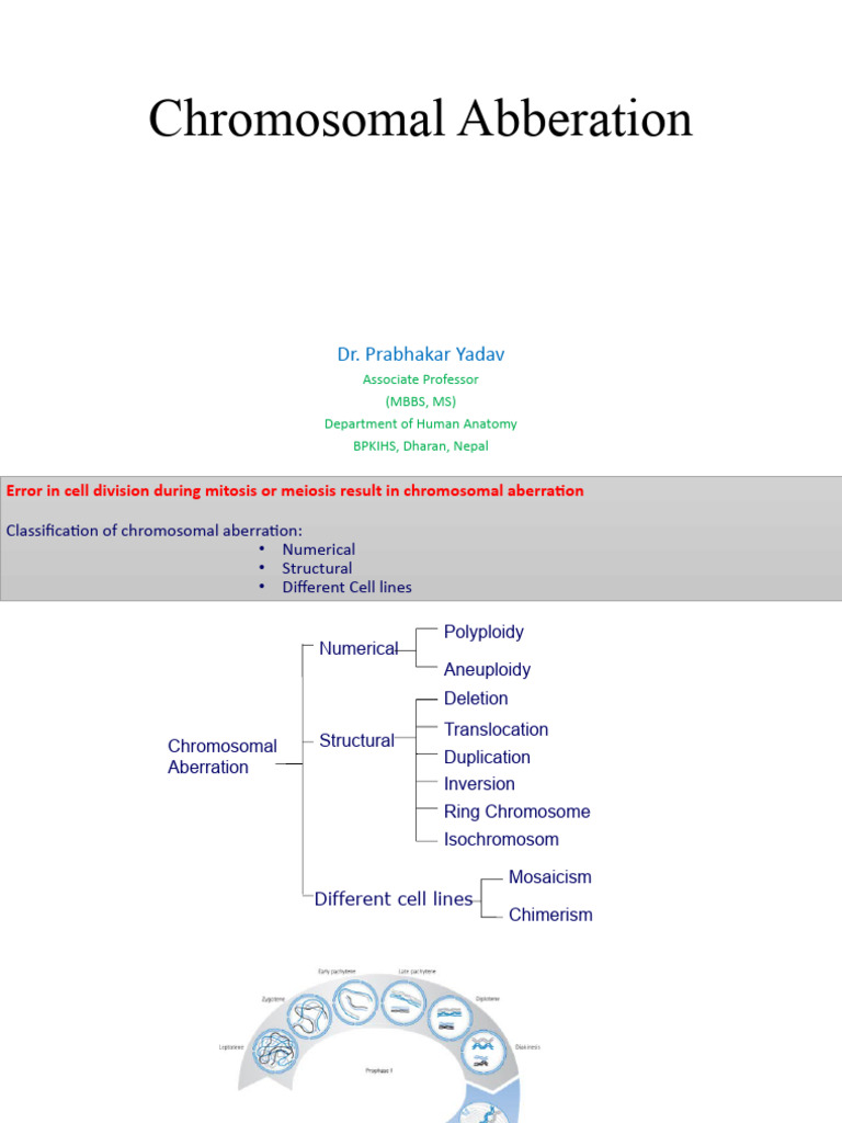 Understanding Chromosomal Aberrations | PDF | Zygosity | Chromosome