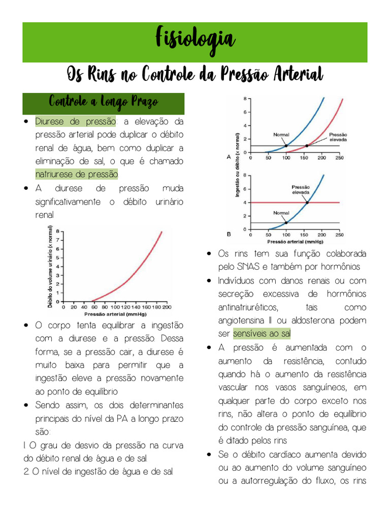 Diurese e Hipertensão: Relações Renais | PDF | Hipertensão | Rim