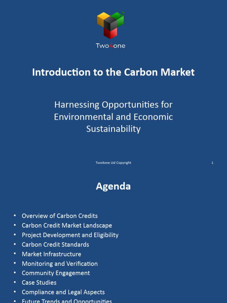 Introduction To The Carbon Market | PDF | Emissions Trading ...