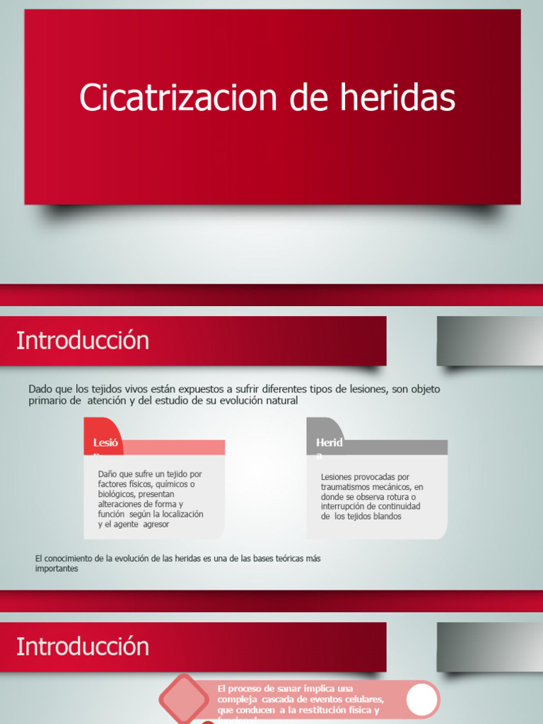 Cicatrizacion De Heridas Pdf Cicatrización De La Herida Biología