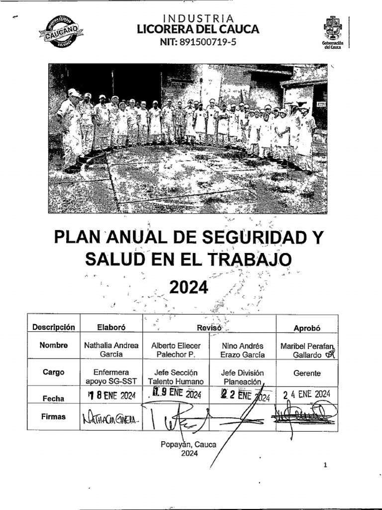 Plan Anual de Seguridad y Salud en El Trabajo 2024 | PDF