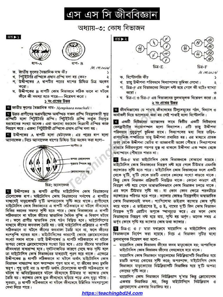 SSC Biology Chapter 3 Notes | PDF | Biology | Life Sciences