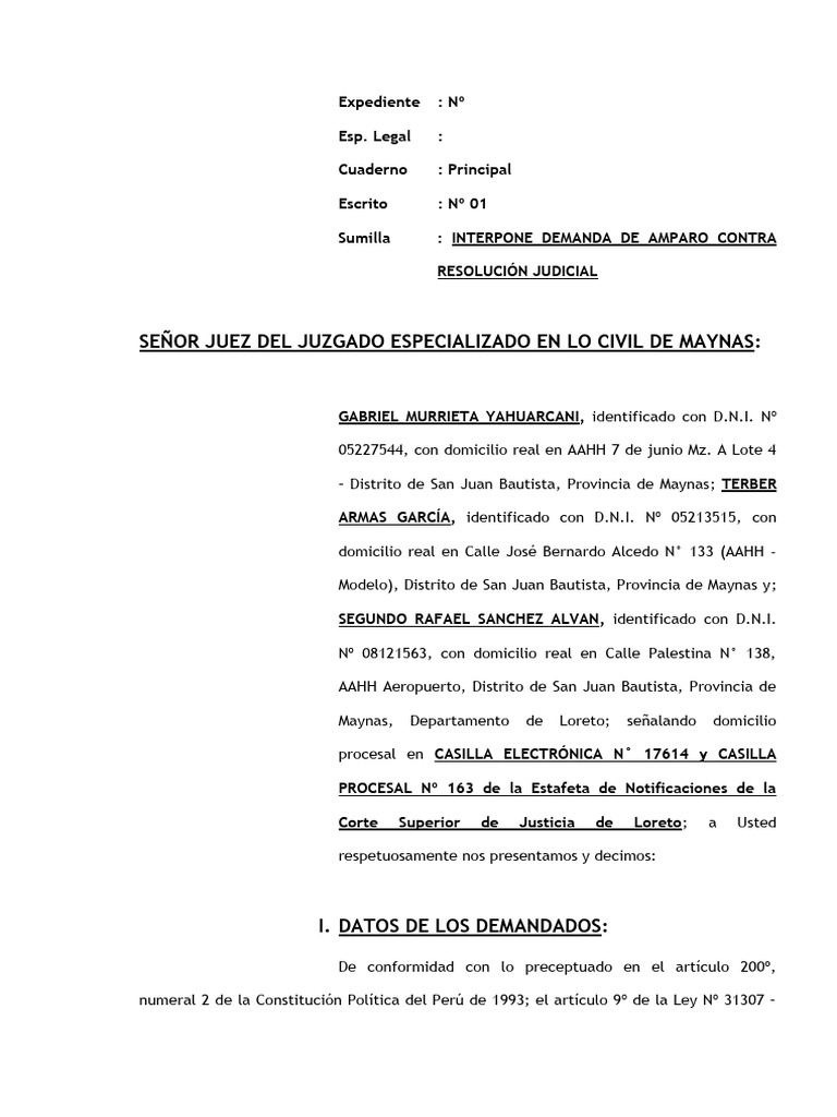 Demanda de Amparo contra Resolución Judicial | PDF | Debido al proceso ...