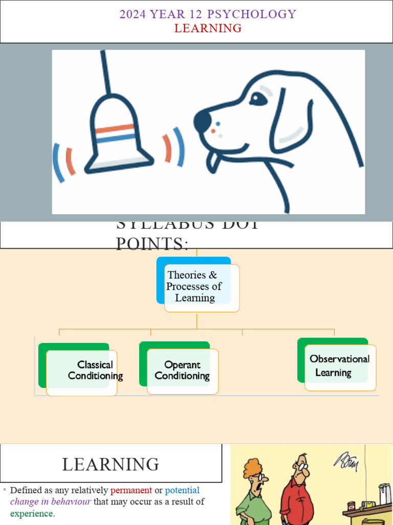 Year 12 Psychology: Learning Theories | PDF | Classical Conditioning ...