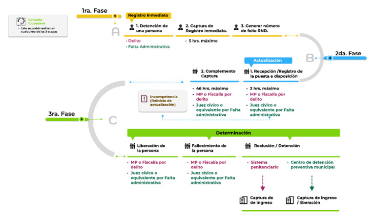 Diagrama PROCESO DE CAPTURA DEL RND | PDF | Ley Pública | Justicia